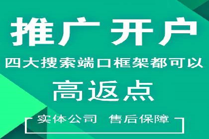 百度推广公司案例分析：精准定位，助力企业精准营销